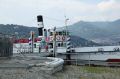 IMG_7331.jpg