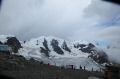 IMG_7423.jpg