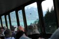 IMG_7537.jpg