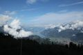 IMG_7547.jpg