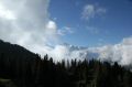 IMG_7549.jpg