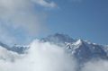 IMG_7550.jpg