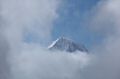 IMG_7580.jpg