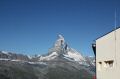 IMG_7861.jpg