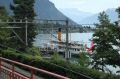 IMG_7938.jpg
