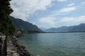 IMG_7945.jpg