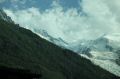 IMG_7990.jpg
