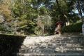 DSC03712.JPG
