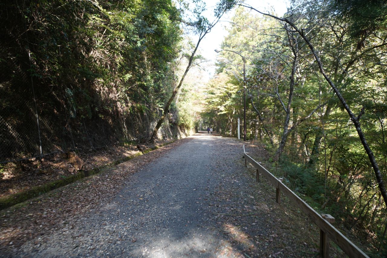 DSC03723.JPG