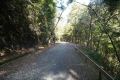 DSC03723.JPG