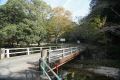DSC03726.JPG