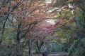 DSC03729.JPG