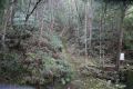 DSC03732.JPG