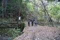 DSC03733.JPG