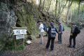 DSC03737.JPG