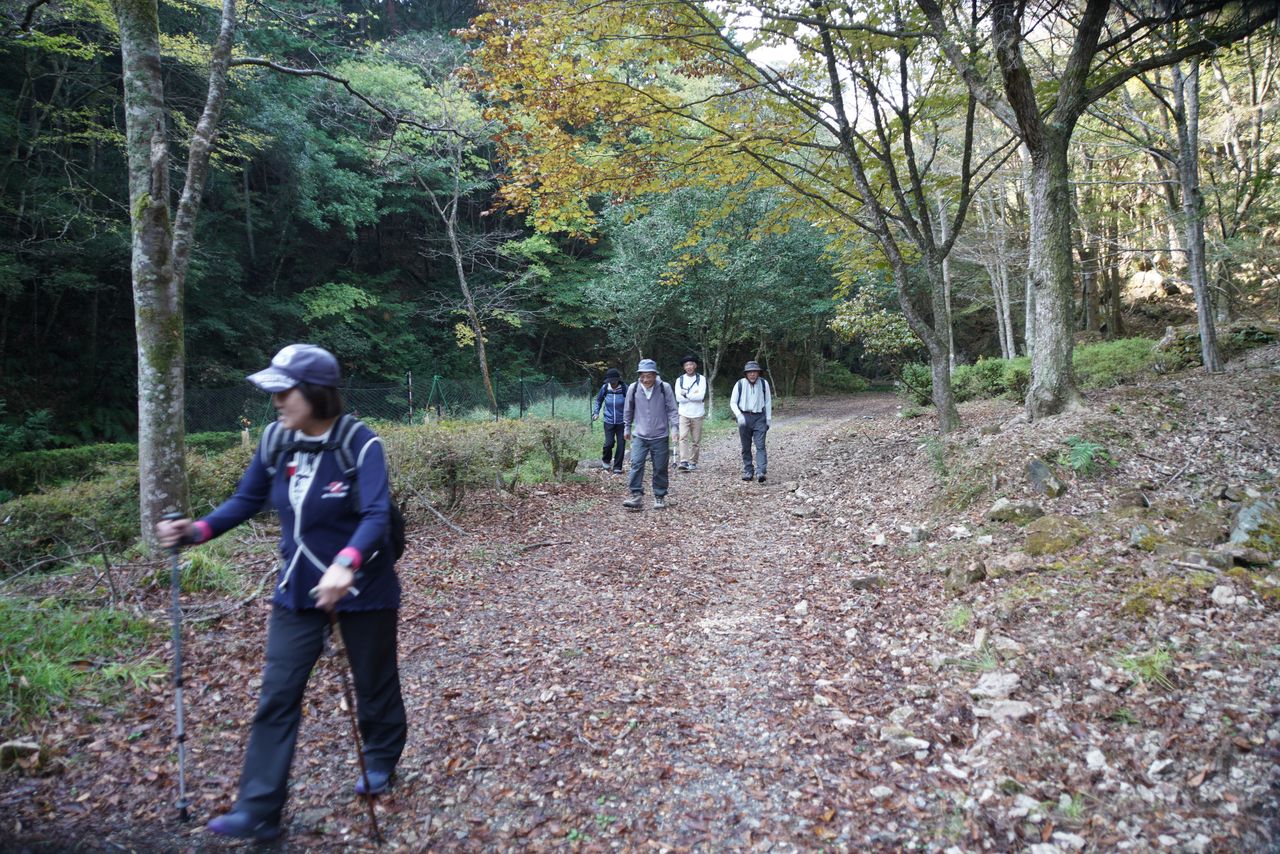 DSC03739.JPG