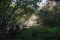 DSC03740.JPG