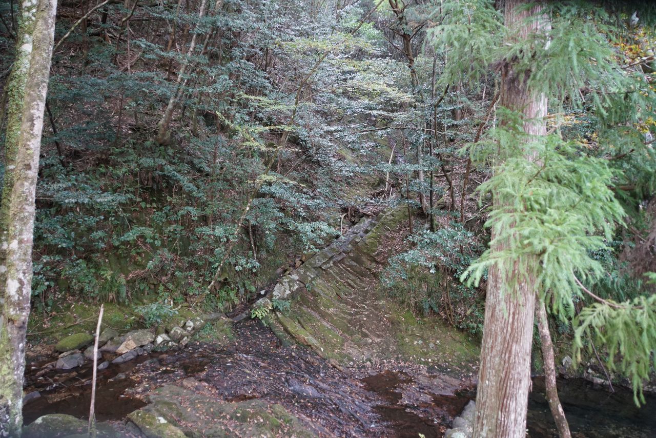 DSC03741.JPG