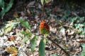 DSC03746.JPG