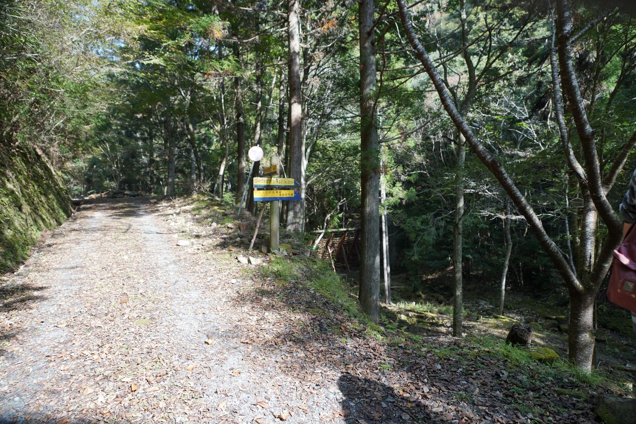 DSC03747.JPG