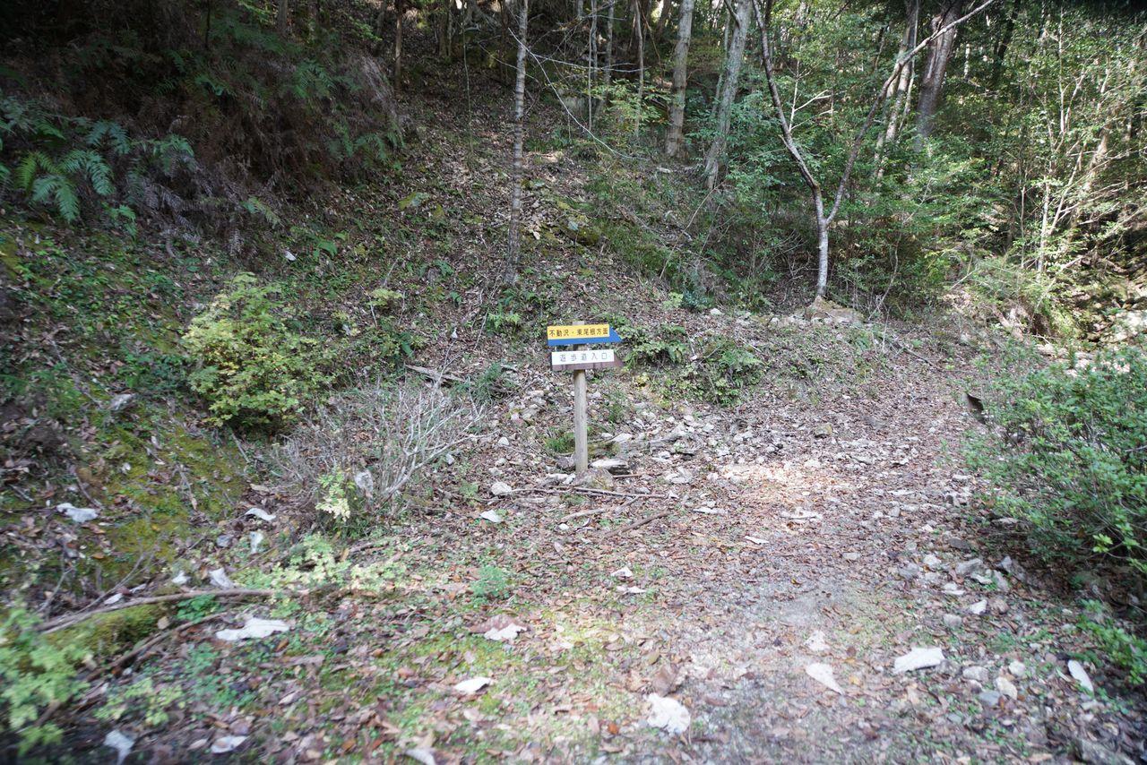 DSC03749.JPG