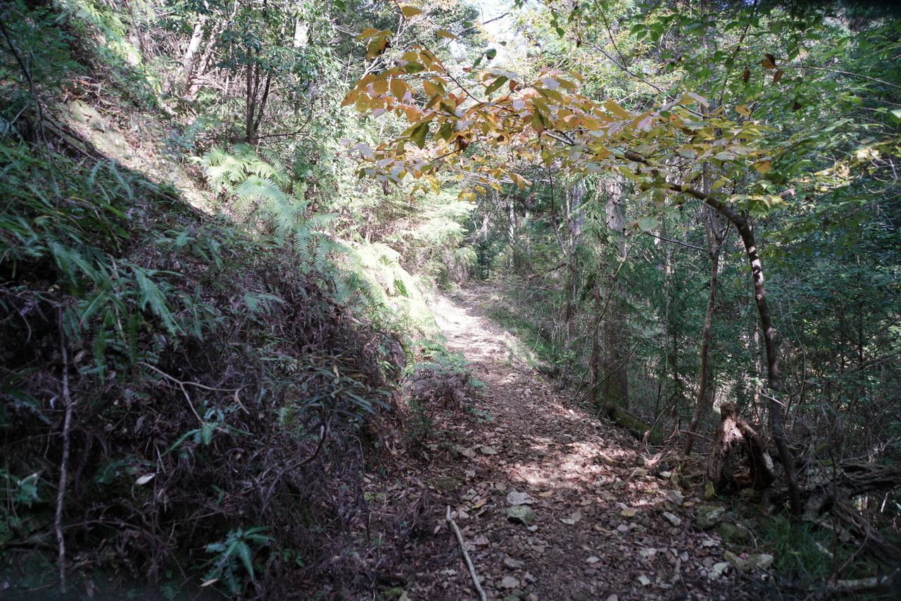 DSC03750.JPG