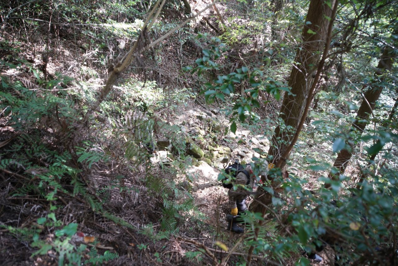 DSC03755.JPG