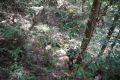 DSC03755.JPG