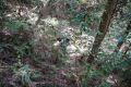 DSC03758.JPG