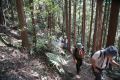 DSC03764.JPG