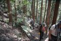 DSC03767.JPG