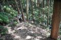 DSC03773.JPG