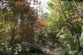 DSC03776.JPG