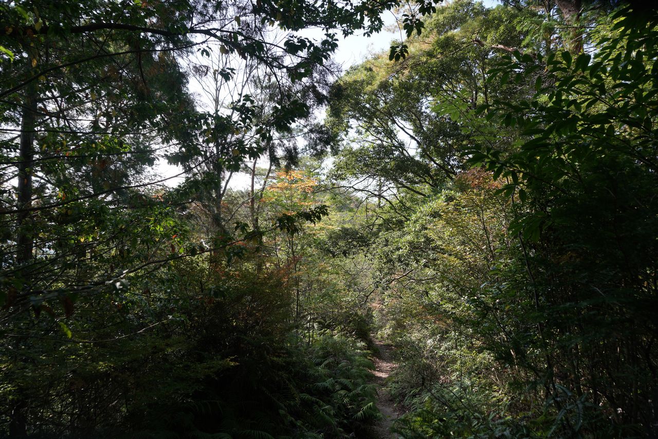 DSC03779.JPG