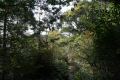 DSC03779.JPG