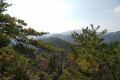 DSC03812.JPG
