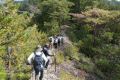 DSC03824.JPG