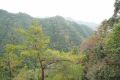 DSC03842.JPG