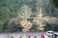 DSC03845.JPG